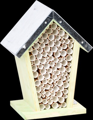 Casa Nido Abejas Celdas